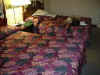 bed.jpg (58998 bytes)