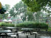 rain.jpg (66547 bytes)
